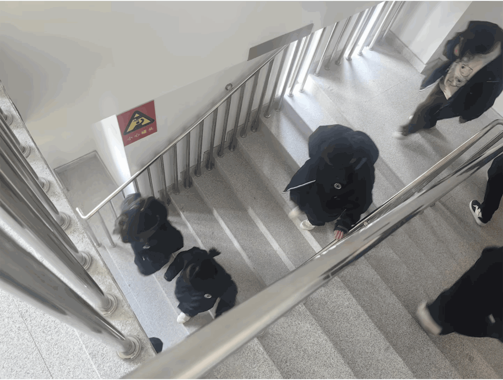 f2593deb95834d7fb639857891f6ae75.gif